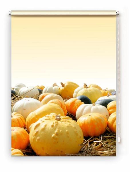 Rollo Kürbiszeit gelb, Rollo, Motivrollo, Rollo mit Druck, Fotorollo, bedrucktes Rollo, Fensterrollo,verdunkelndes Rollo, Sonnenschutz Rollo